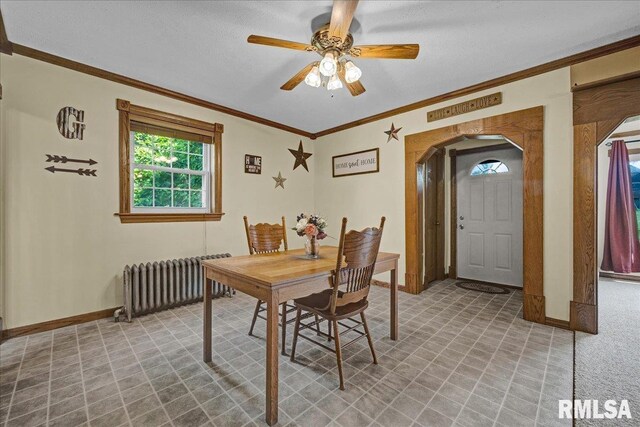 205 W Locust St, La Rose, IL 61541 - photo 7