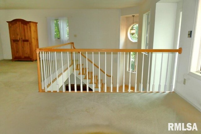 706 Banta Rd, Lowpoint, IL 61545 - photo 24