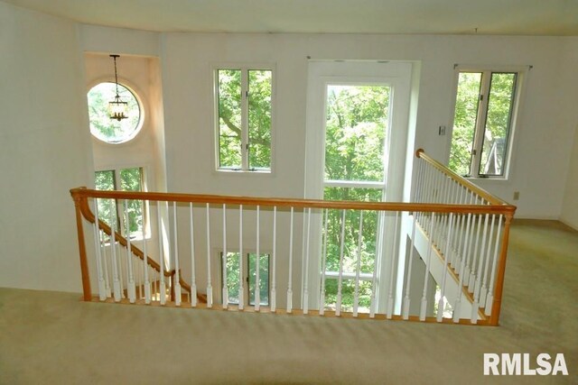 706 Banta Rd, Lowpoint, IL 61545 - photo 26