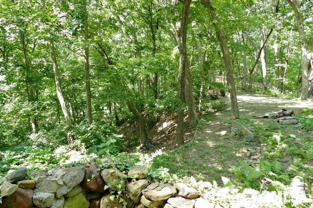 706 Banta Rd, Lowpoint, IL 61545 - photo 60