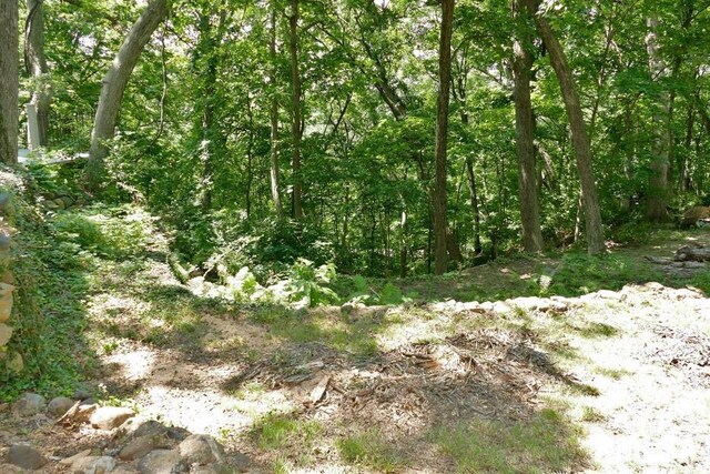 706 Banta Rd, Lowpoint, IL 61545 - photo 67