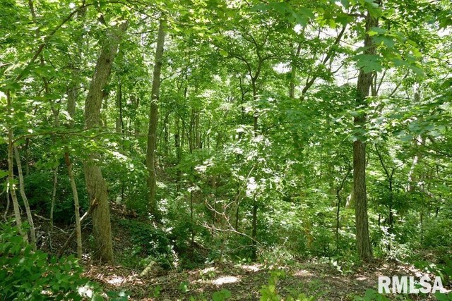 706 Banta Rd, Lowpoint, IL 61545 - photo 70
