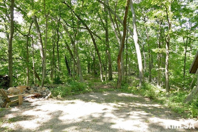 706 Banta Rd, Lowpoint, IL 61545 - photo 71