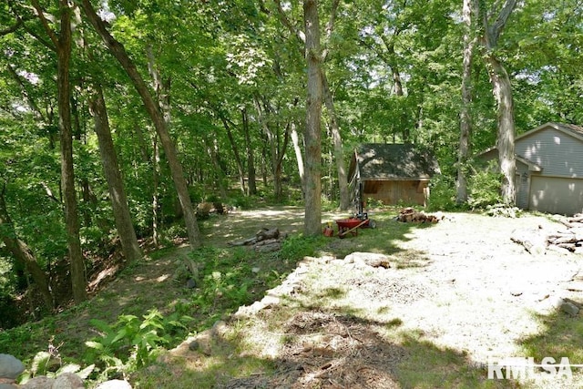706 Banta Rd, Lowpoint, IL 61545 - photo 72