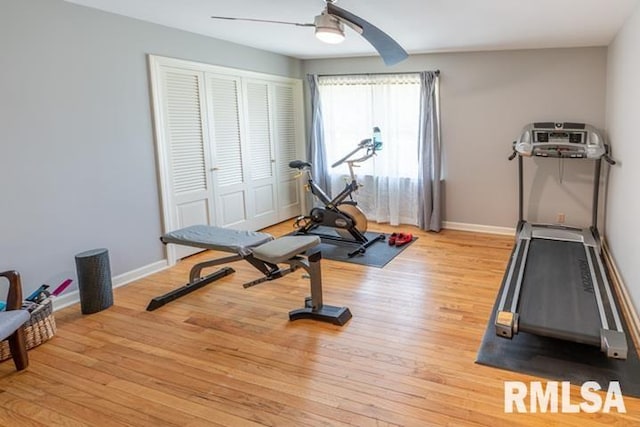 210 W Wolf Rd, Peoria, IL 61614 - workout room with light wood-type flooring and a ceiling fan
