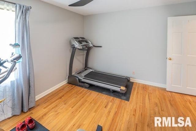 210 W Wolf Rd, Peoria, IL 61614 - workout room featuring wood finished floors and ceiling fan