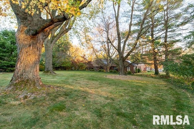 210 W Wolf Rd, Peoria, IL 61614 - view of green lawn