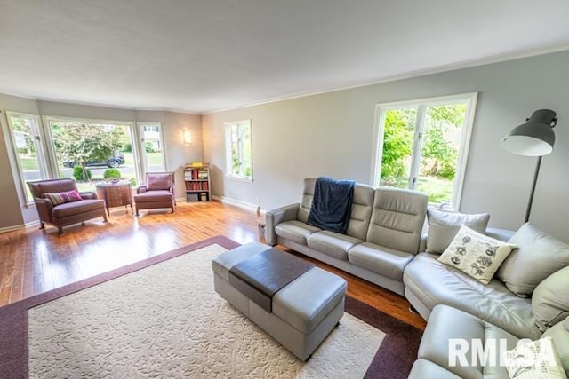 210 W Wolf Rd, Peoria, IL 61614 - living room with ornamental molding, wood finished floors, and plenty of natural light