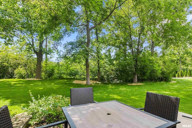 7601 N Walnut Bend Dr Unit 23, Peoria, IL 61614 - photo 32