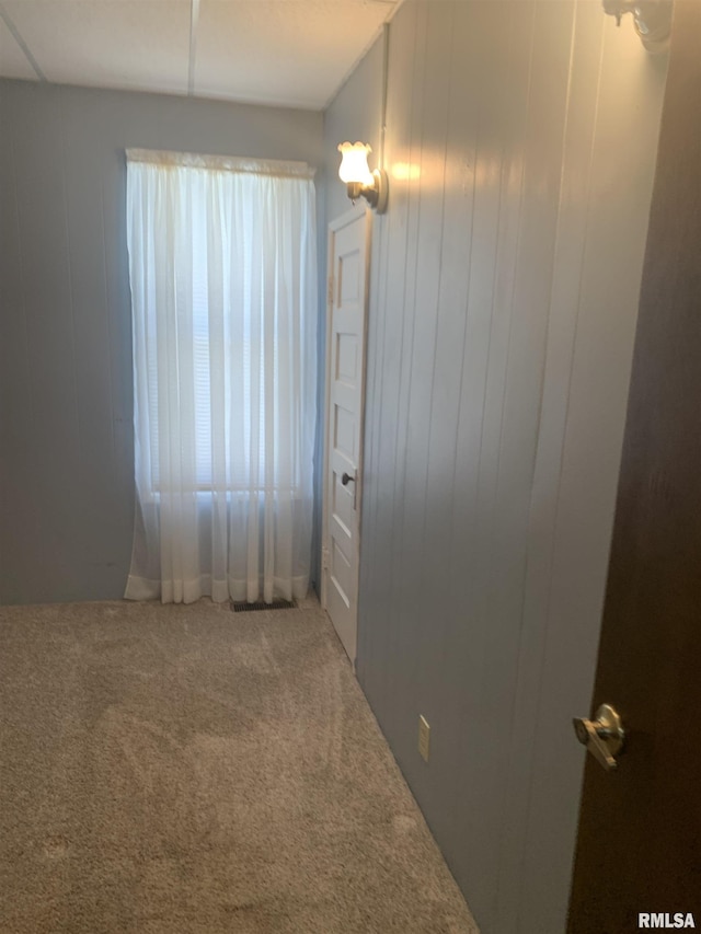 519 E Davis St, Bushnell, IL 61422 - spare room with carpet floors and wood walls