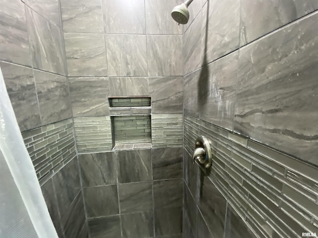 1228 E Lake Ave, Peoria Heights, IL 61616 - bathroom view of a tile shower