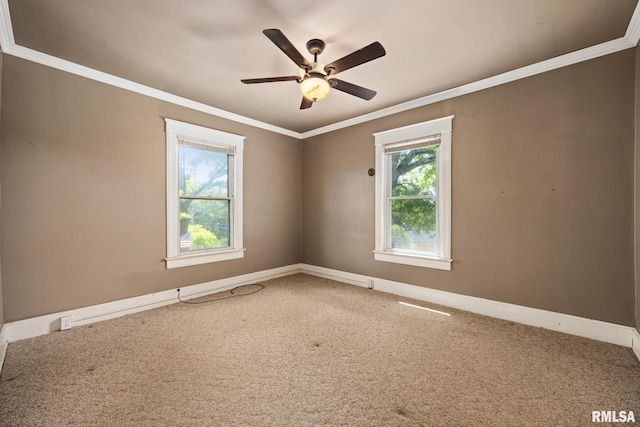 2511 Martin Luther King Jr Dr, Peoria, IL 61604 - photo 26