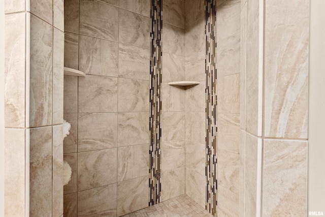 2627 W Lake Pointe Ter, Peoria, IL 61614 - bathroom view of tiled shower