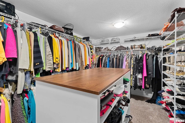 2627 W Lake Pointe Ter, Peoria, IL 61614 - walk in closet with carpet floors