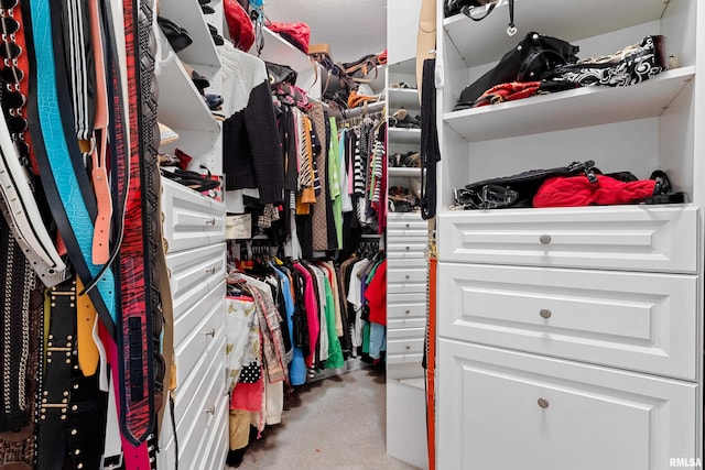 2627 W Lake Pointe Ter, Peoria, IL 61614 - view of spacious closet