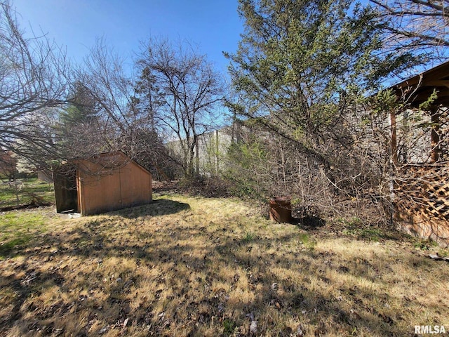 2827 W Larchmont Ln, Peoria, IL 61615 - view of yard featuring a storage unit