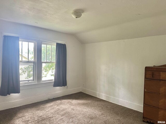 1009 W Armstrong Ave, Peoria, IL 61606 - photo 12