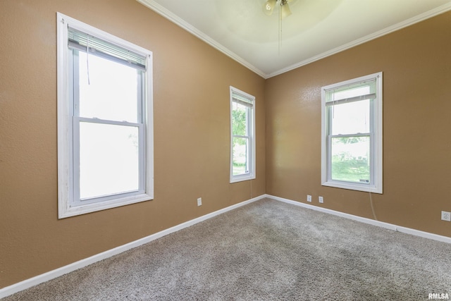 1315 N Bourland Ave, Peoria, IL 61606 - empty room featuring crown molding and carpet flooring