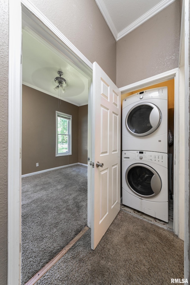 1315 N Bourland Ave, Peoria, IL 61606 - washroom with stacked washer / dryer, crown molding, and carpet flooring