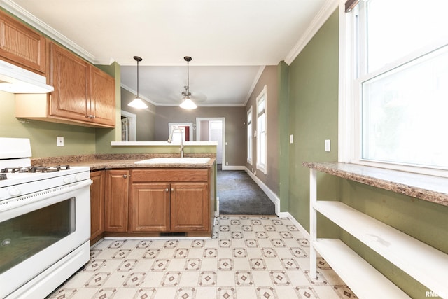 1315 N Bourland Ave, Peoria, IL 61606 - kitchen featuring gas range gas stove, crown molding, a peninsula, light flooring, and pendant lighting