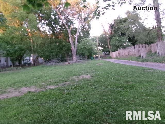 1912 N Indiana Ave, Peoria, IL 61603 - photo 1