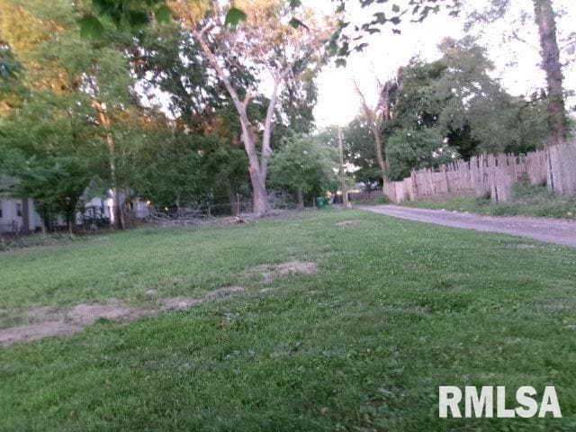 1912 N Indiana Ave, Peoria, IL 61603 - photo 2