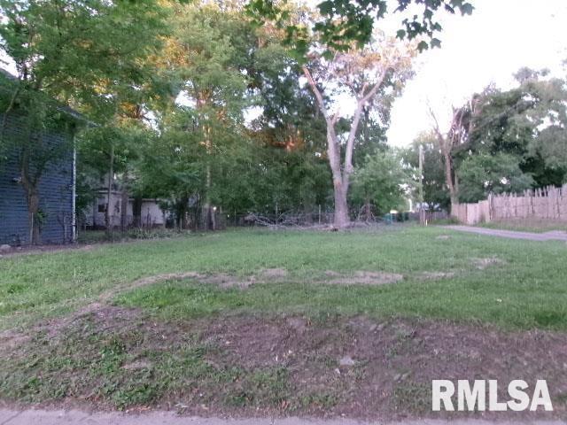 1912 N Indiana Ave, Peoria, IL 61603 - photo 3