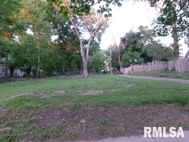 1912 N Indiana Ave, Peoria, IL 61603 - photo 4