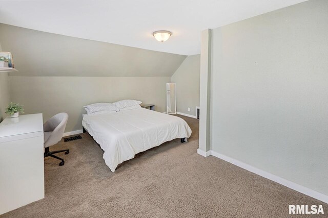 903 E Lake Ave, Peoria Heights, IL 61616 - bedroom with carpet floors and lofted ceiling