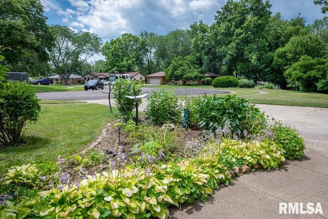 926 Birchwood Dr, Washington, IL 61571 - view of green lawn featuring view of wooded area and a detached garage