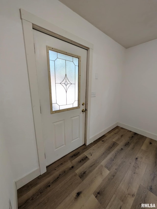 218 Meadow Lawn St, Manito, IL 61546 - entryway featuring wood finished floors