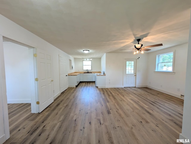 218 Meadow Lawn St, Manito, IL 61546 - unfurnished living room with light wood-style floors, plenty of natural light, and ceiling fan