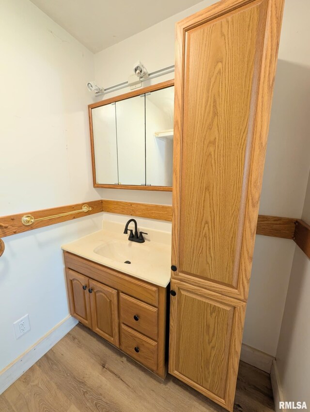 218 Meadow Lawn St, Manito, IL 61546 - bathroom with wood finished floors and vanity