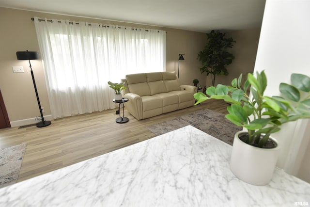 4527 N Nelson Dr, Peoria, IL 61614 - living room featuring wood finished floors and baseboards
