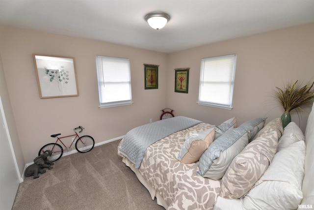 4527 N Nelson Dr, Peoria, IL 61614 - photo 36