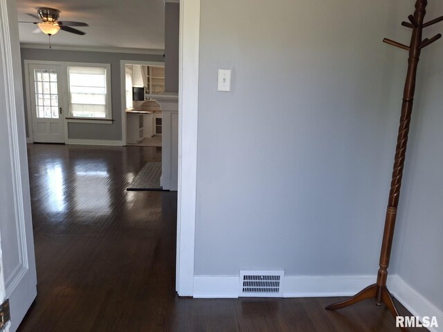 244 W Chestnut St, Canton, IL 61520 - photo 9
