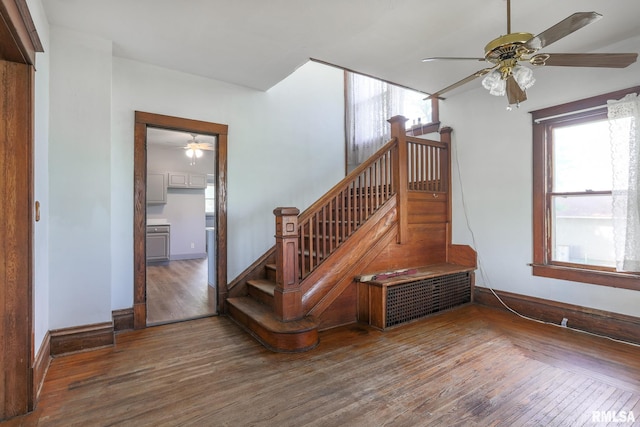 5610 W Lakeshore Dr, Princeville, IL 61559 - stairway featuring ceiling fan, wood finished floors, and plenty of natural light