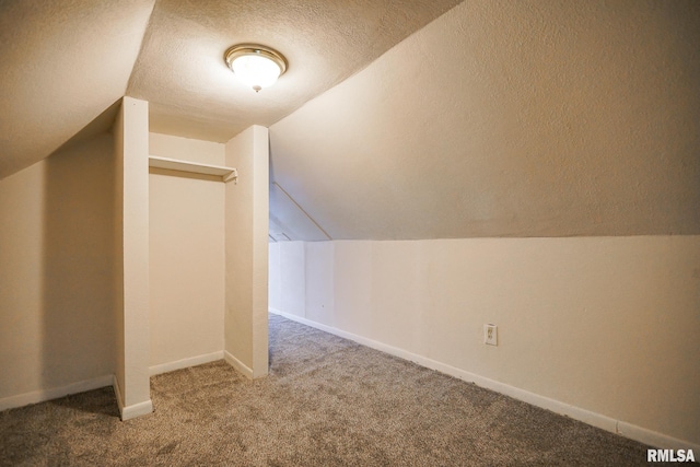 1412 W Butler St, Peoria, IL 61605 - additional living space featuring carpet floors, vaulted ceiling, and a textured ceiling