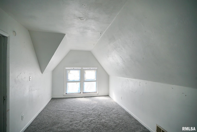506 Spring St, Peoria, IL 61603 - additional living space featuring carpet flooring and vaulted ceiling