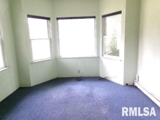 215 N Prairie St, Lacon, IL 61540 - unfurnished sunroom featuring plenty of natural light