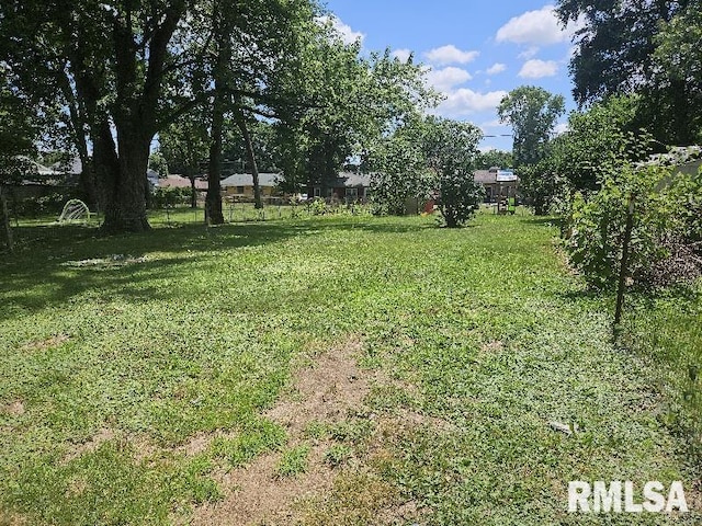 246 E Myrtle St, Canton, IL 61520 - view of yard