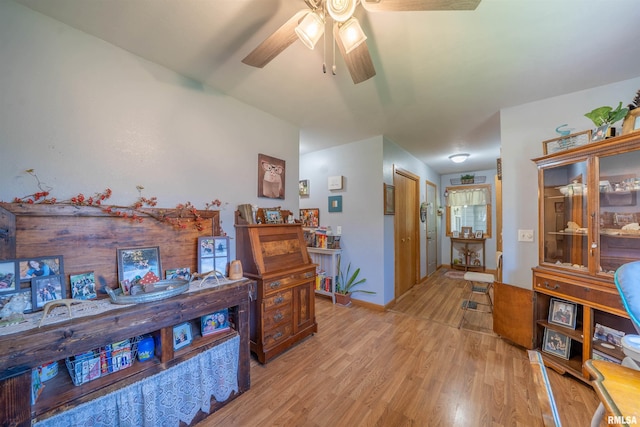 611 E Ash St, Canton, IL 61520 - hallway with light wood-type flooring