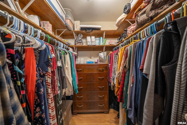 611 E Ash St, Canton, IL 61520 - spacious closet featuring light wood-style floors