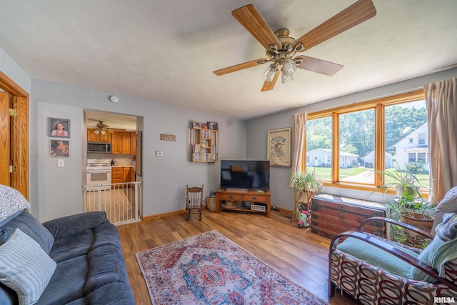 611 E Ash St, Canton, IL 61520 - living room with ceiling fan and light wood-type flooring