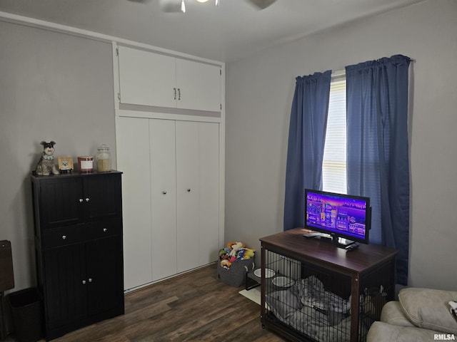 270 Thompson Ct, Canton, IL 61520 - bedroom with dark wood-type flooring and a closet