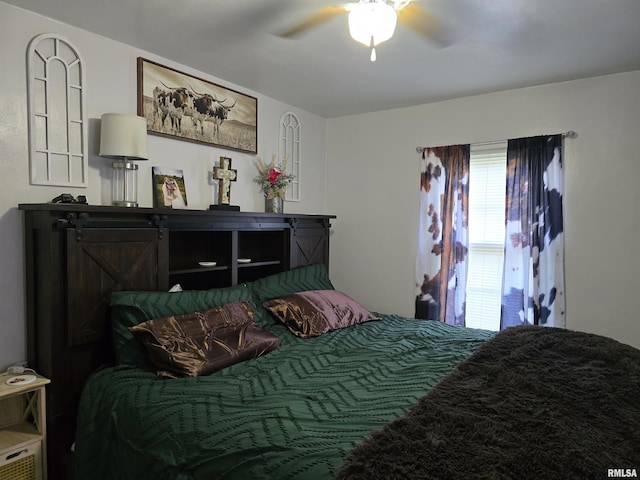 270 Thompson Ct, Canton, IL 61520 - bedroom with ceiling fan