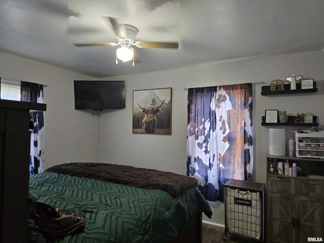270 Thompson Ct, Canton, IL 61520 - bedroom with dark wood finished floors and ceiling fan
