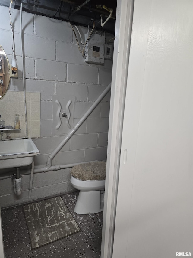 270 Thompson Ct, Canton, IL 61520 - half bathroom with electric panel and concrete block wall