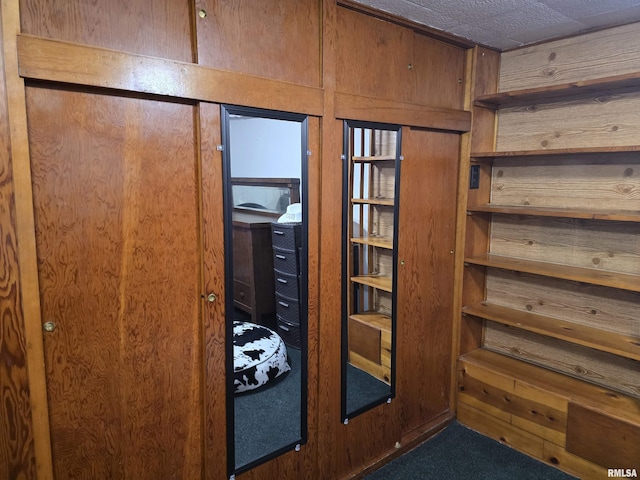 270 Thompson Ct, Canton, IL 61520 - detailed view of carpet floors and wooden walls