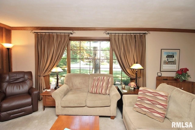 1402 W Grandridge Dr, Dunlap, IL 61525 - carpeted living area with crown molding